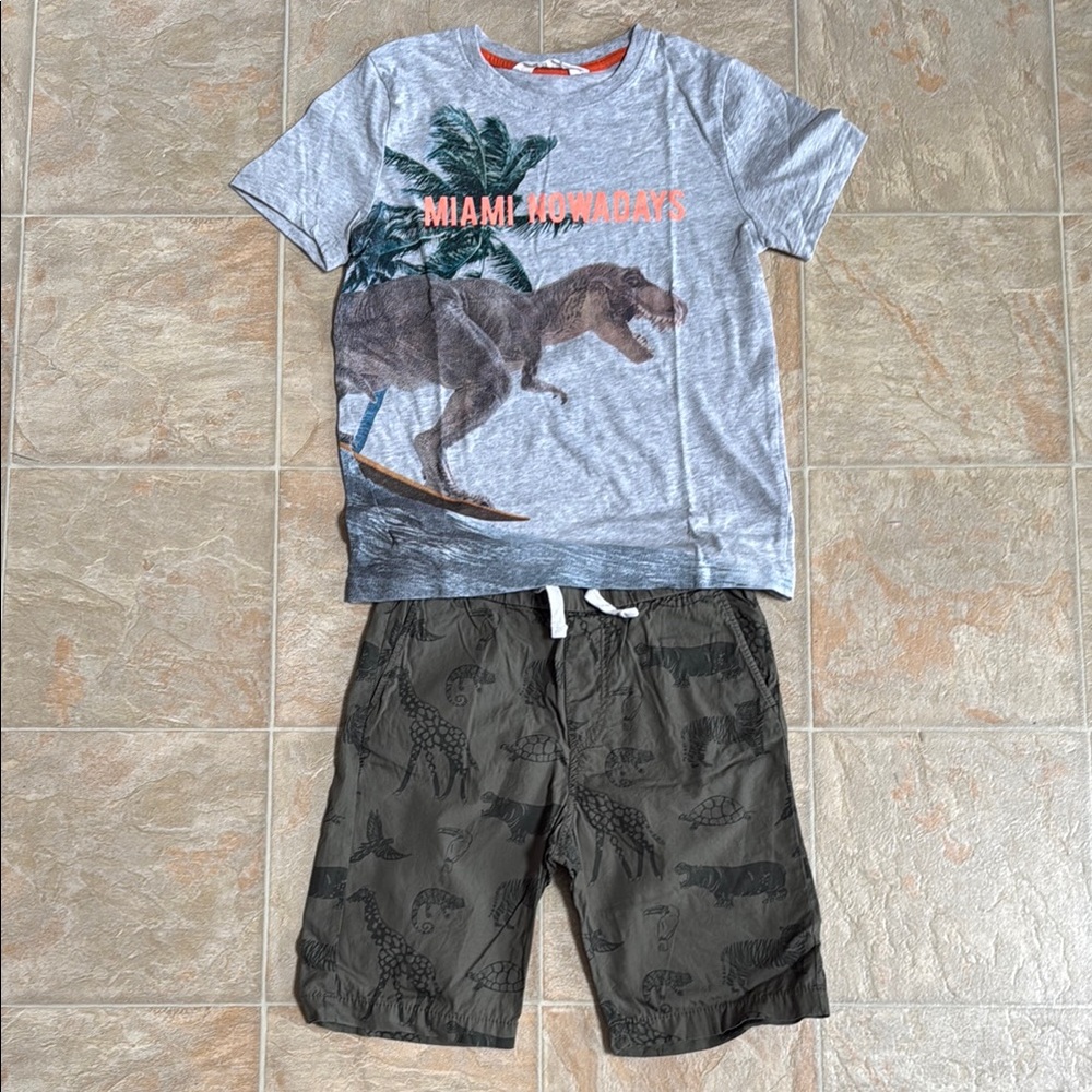 Gray Dinosaur T-Shirt and Green Shorts Set
